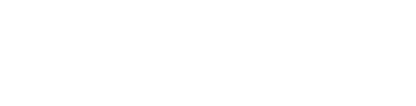 Brink's BCApp